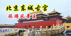 搞中国美女BB中国北京-东城古宫旅游风景区